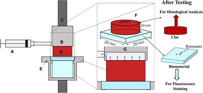 Characterizing thrombus adhesion strength on common cardiovascular device materials